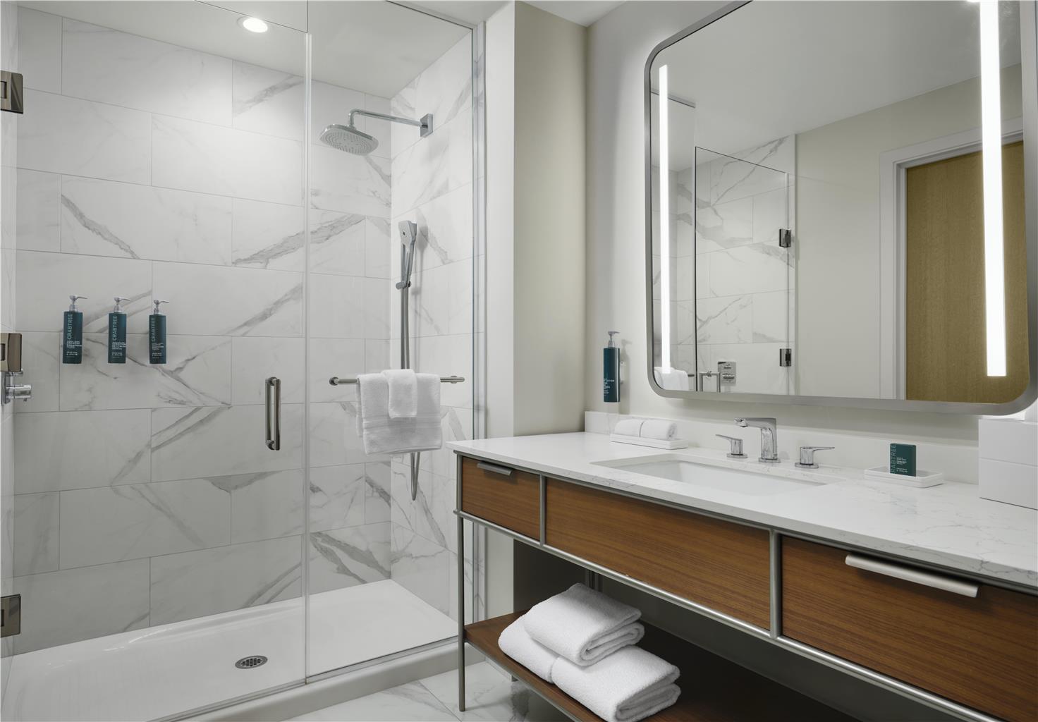 Guest room bath 