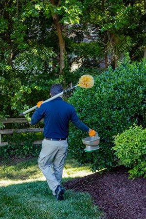 Images Pest & Termite Consultants