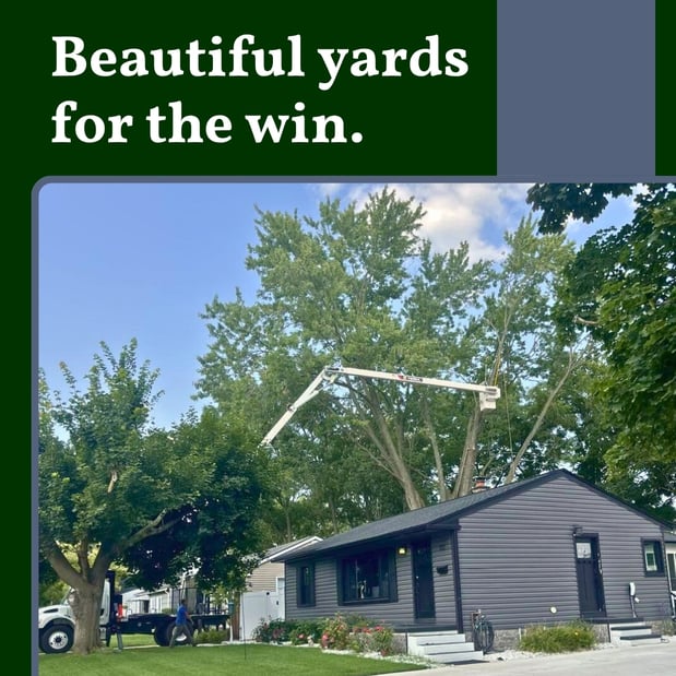 Images Spears Tree Experts Inc.