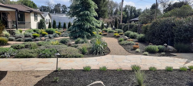 Images Paz Landscape