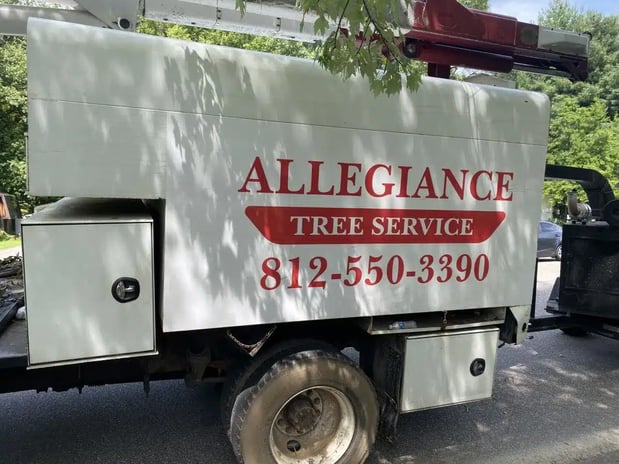 Images Allegiance Tree Service