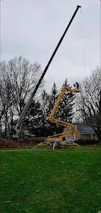Images Madison Tree Care & Landscaping, Inc.