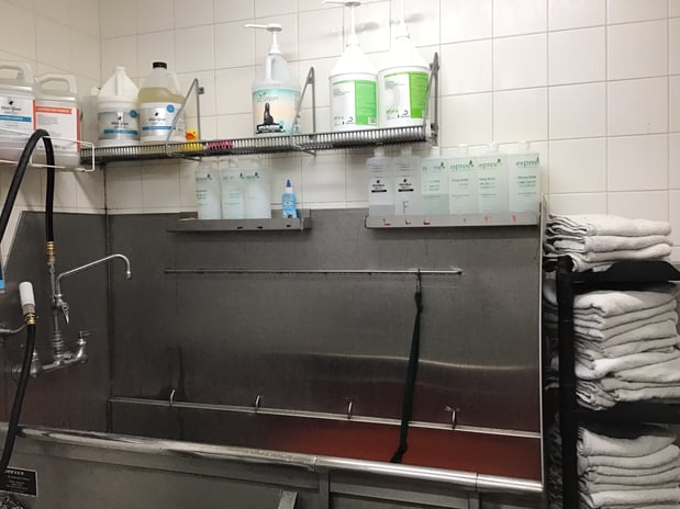 Images Petco Grooming