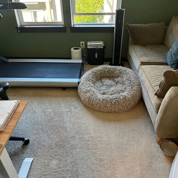 Images Shining Bright Cleaning