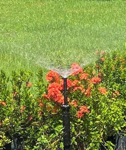 Affordable Island Irrigation, Inc.