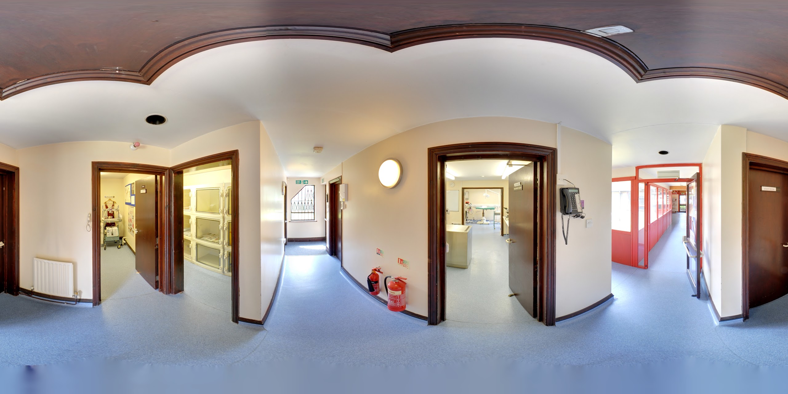 Images The Animal Clinic