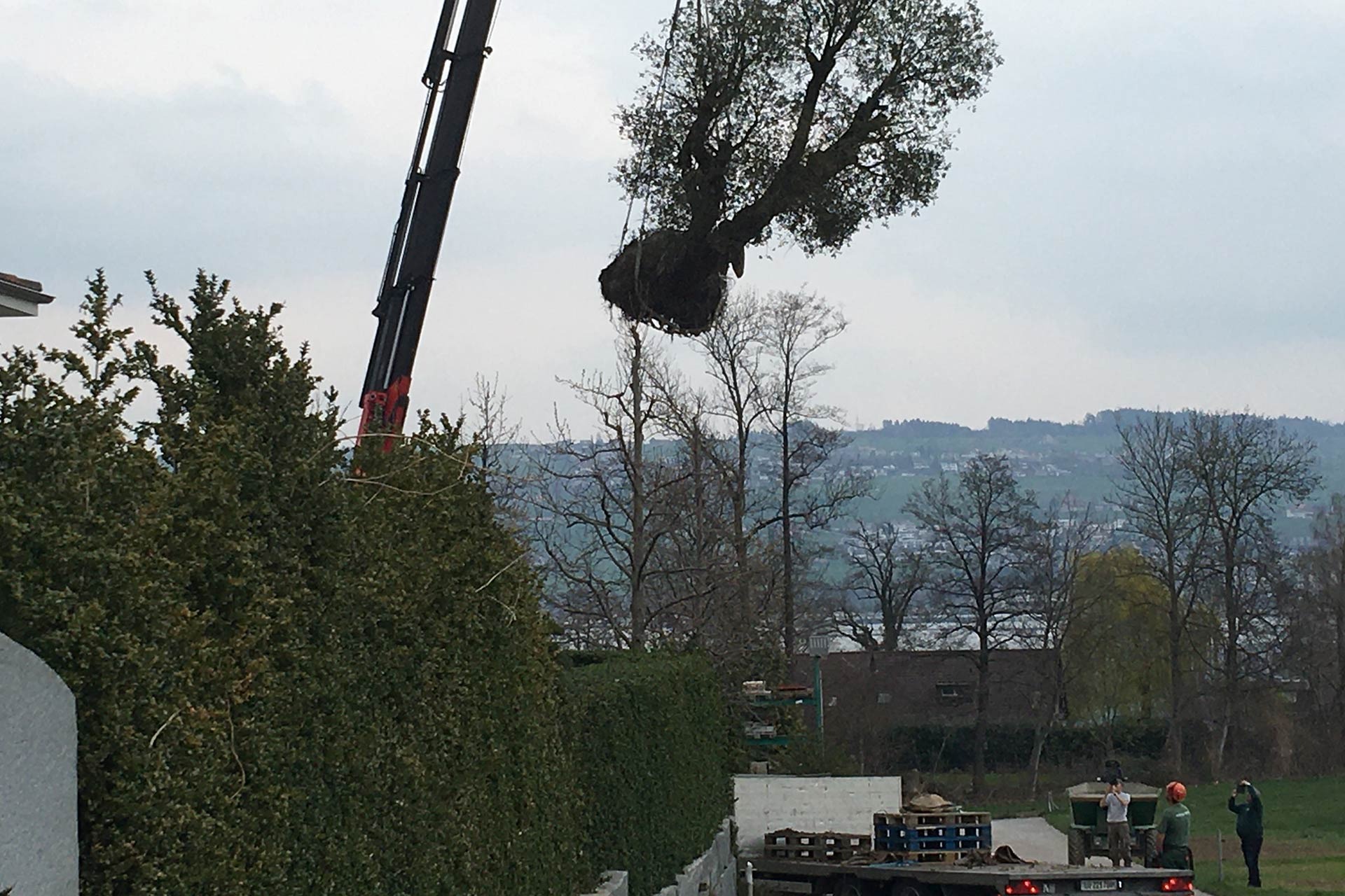 Bilder Bernet Gartenbau AG