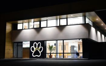 Images Vezér Állategészségügyi Centrum Kft.