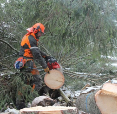 Images Metsä Matikainen Oy