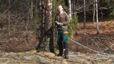 Images Puu- ja metsäpalvelu Zeh