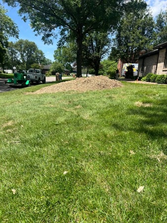 Images Abracadabra Stump Grinding