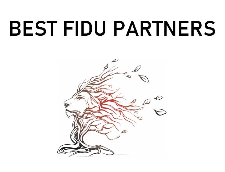 Bilder Best Fidu Partners Sàrl