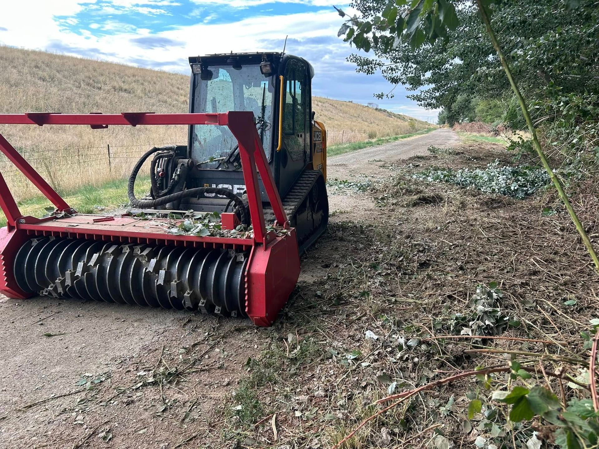 Skyline Forestry Mulching