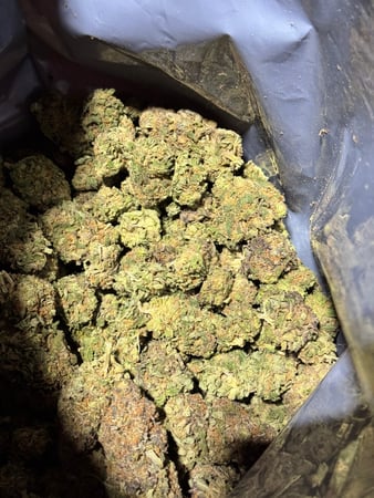 Images Wholesale Hemp Farms