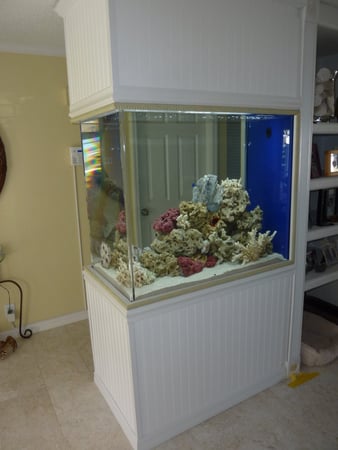 Images Sea Clear Reefs and Aquariums LLC