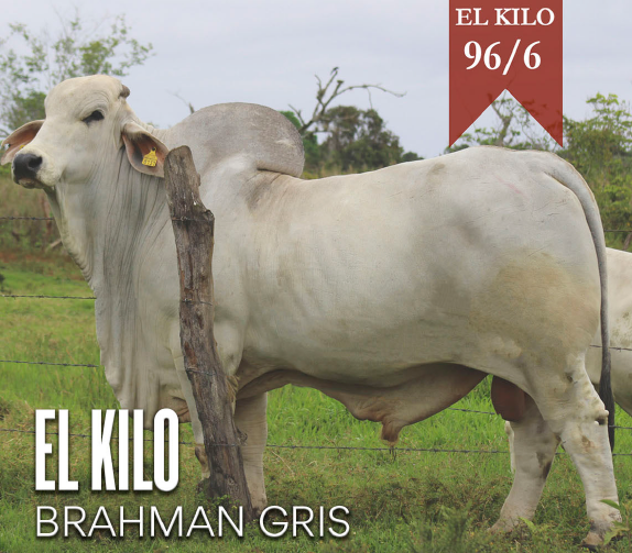 Images Rancho La Marina