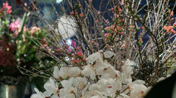 Images Kukkakauppa Form & Flora