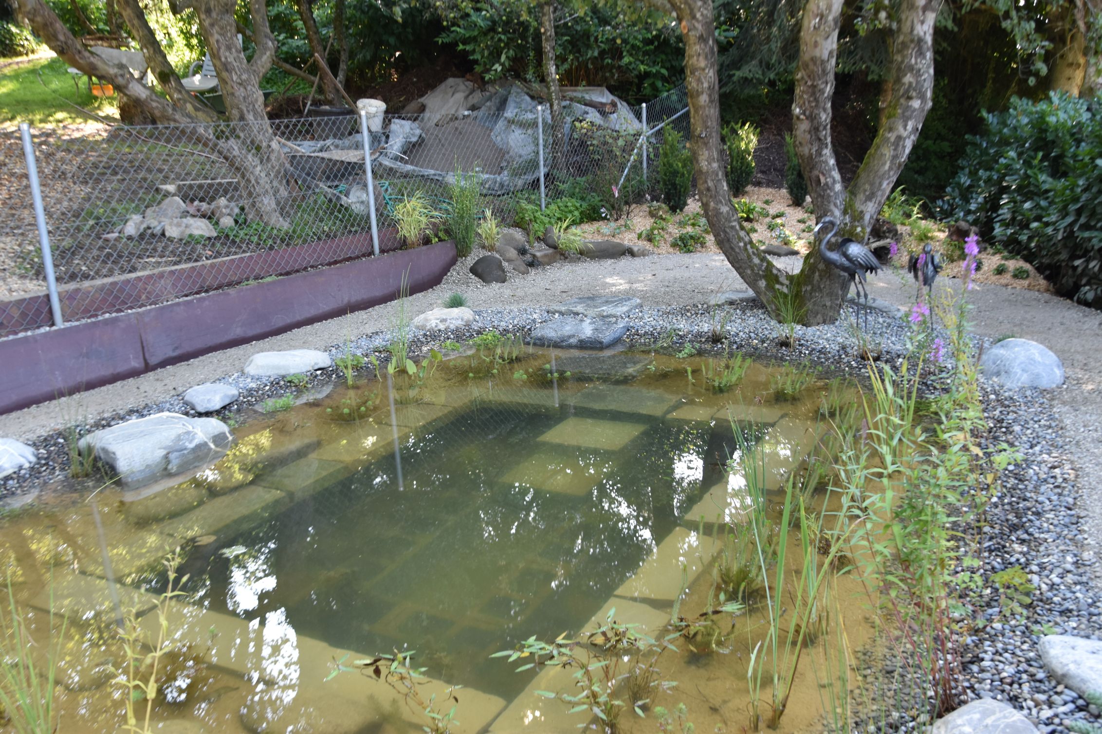 Bilder Grün & Blau Gärten und Teiche GmbH