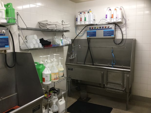 Images Petco Grooming