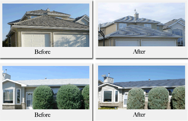 Images Vertex Roofing Contractors