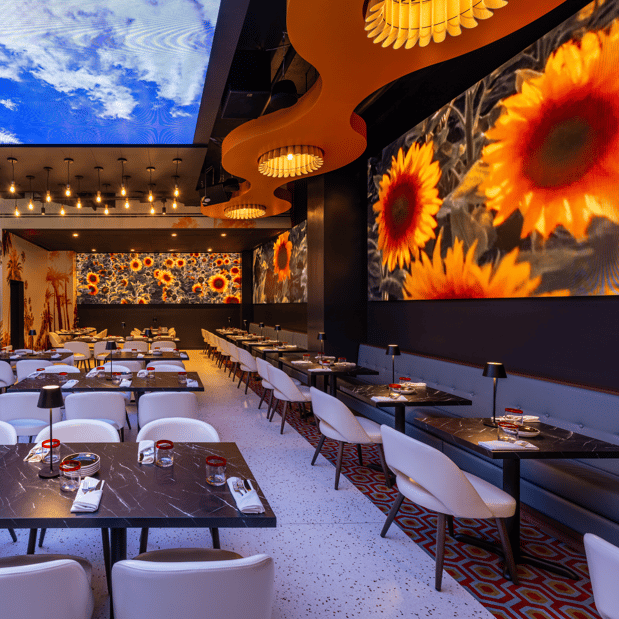Images Planet Hollywood New York