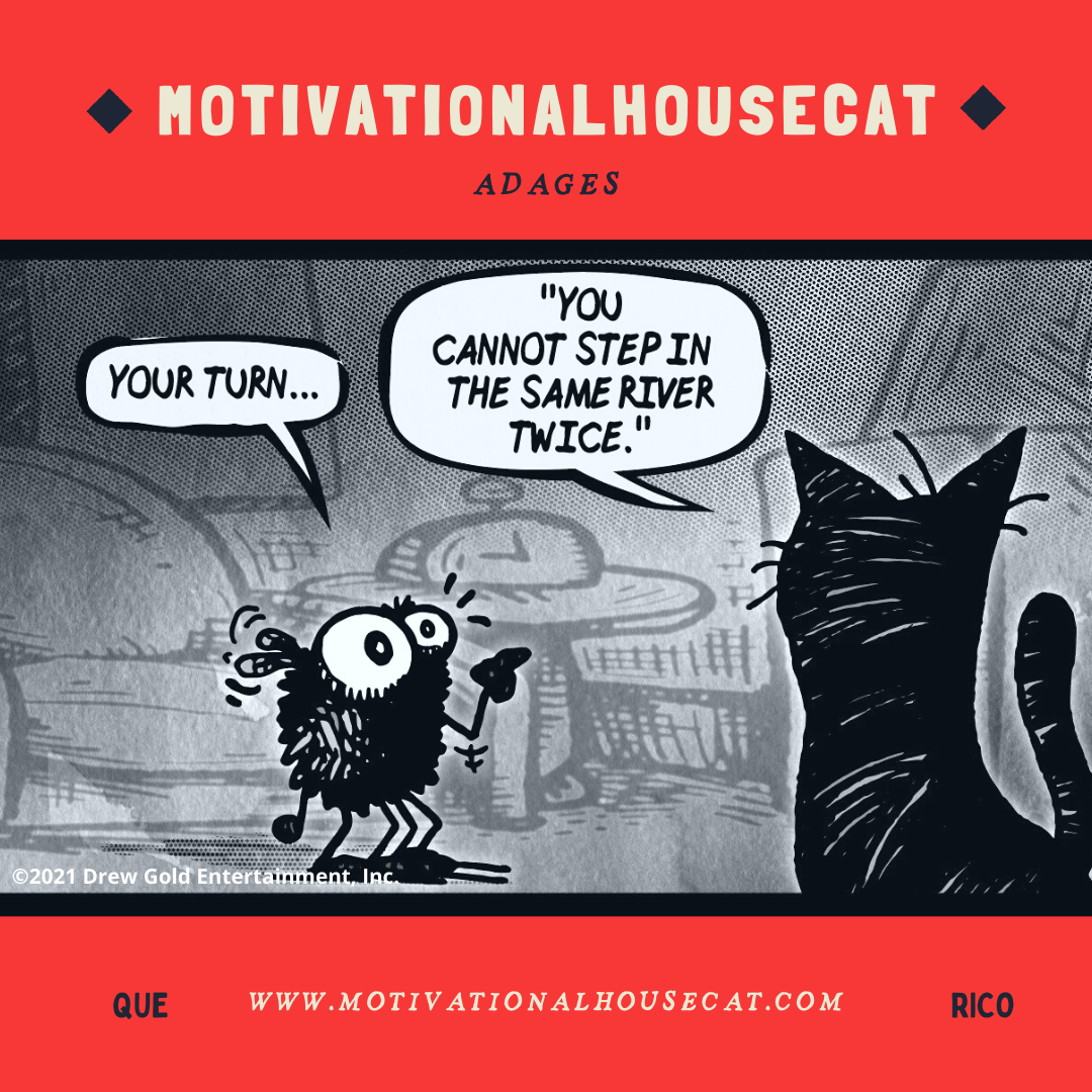Motivational Housecat! Starring Professor Meow Meow and The Angry Bee comicstrips created by Drew Gold