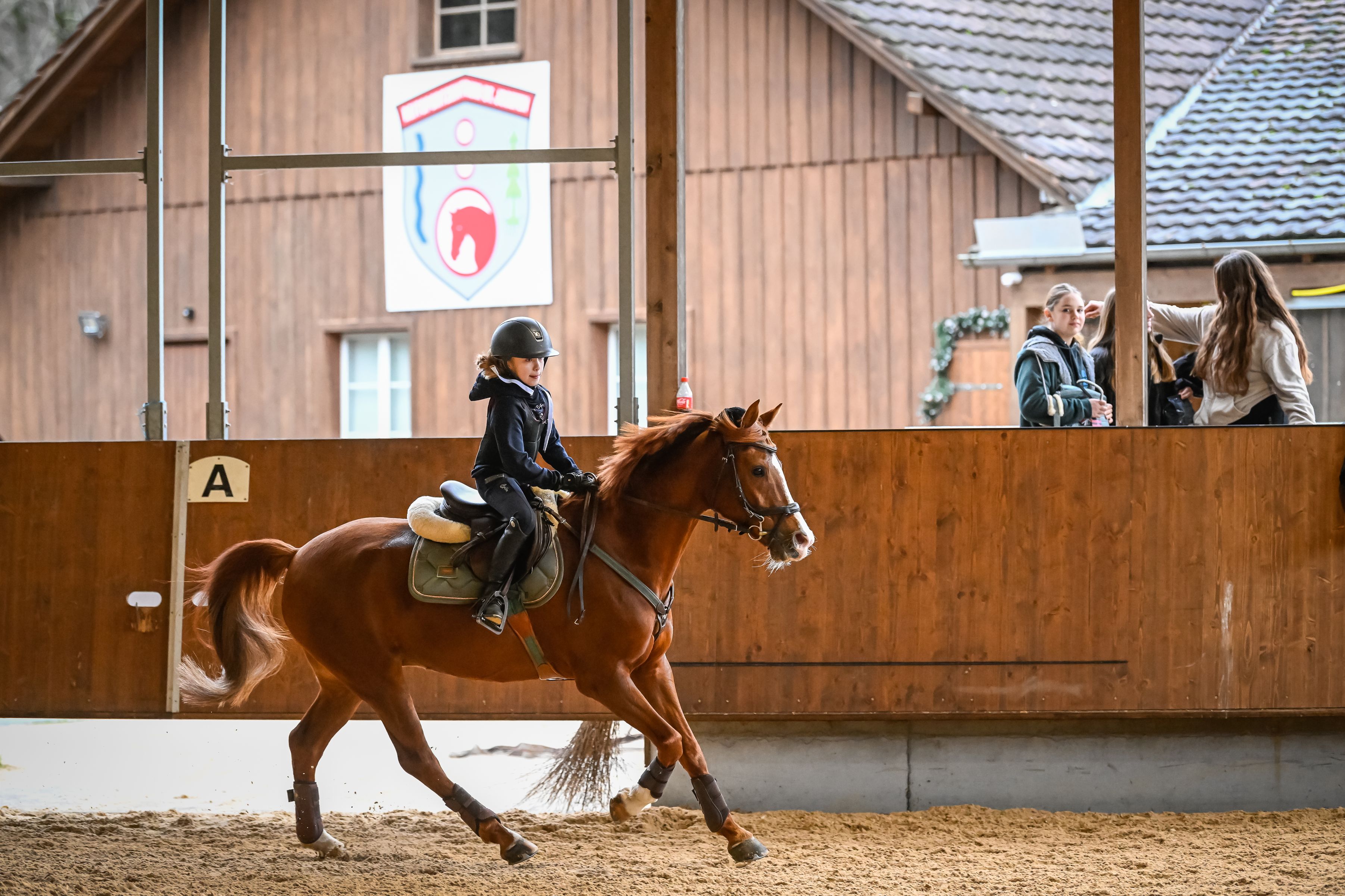 Bilder Reitsportzentrum St. Josefen AG