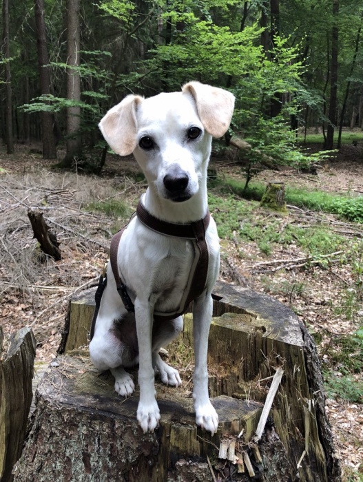 Christoph Weibert, Steubenstr. 63 in Aschaffenburg