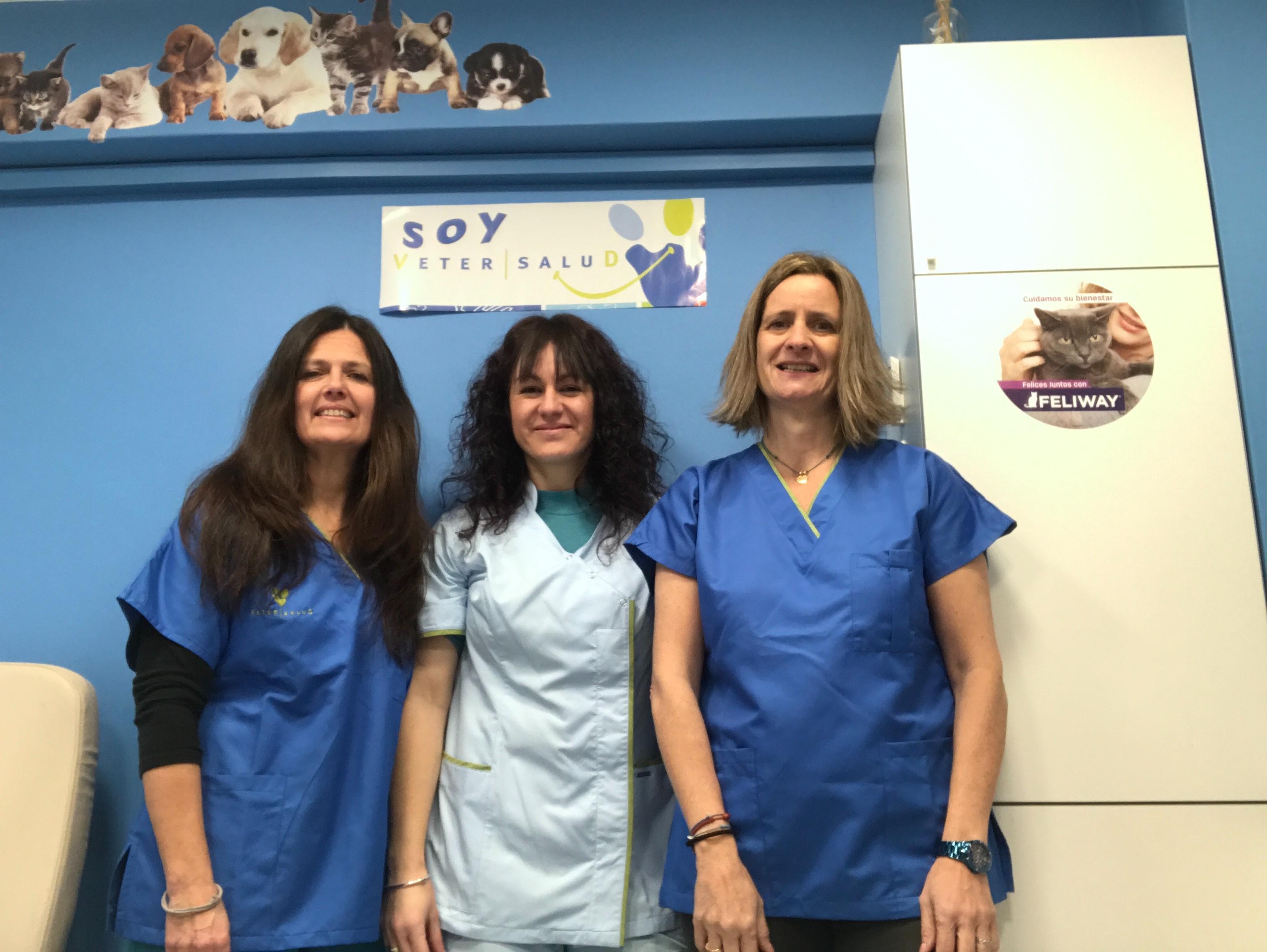 Images Clinica Veterinaria General Margallo