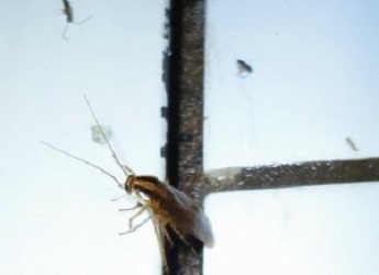 bioCon, Kampweg 25 in Winsen