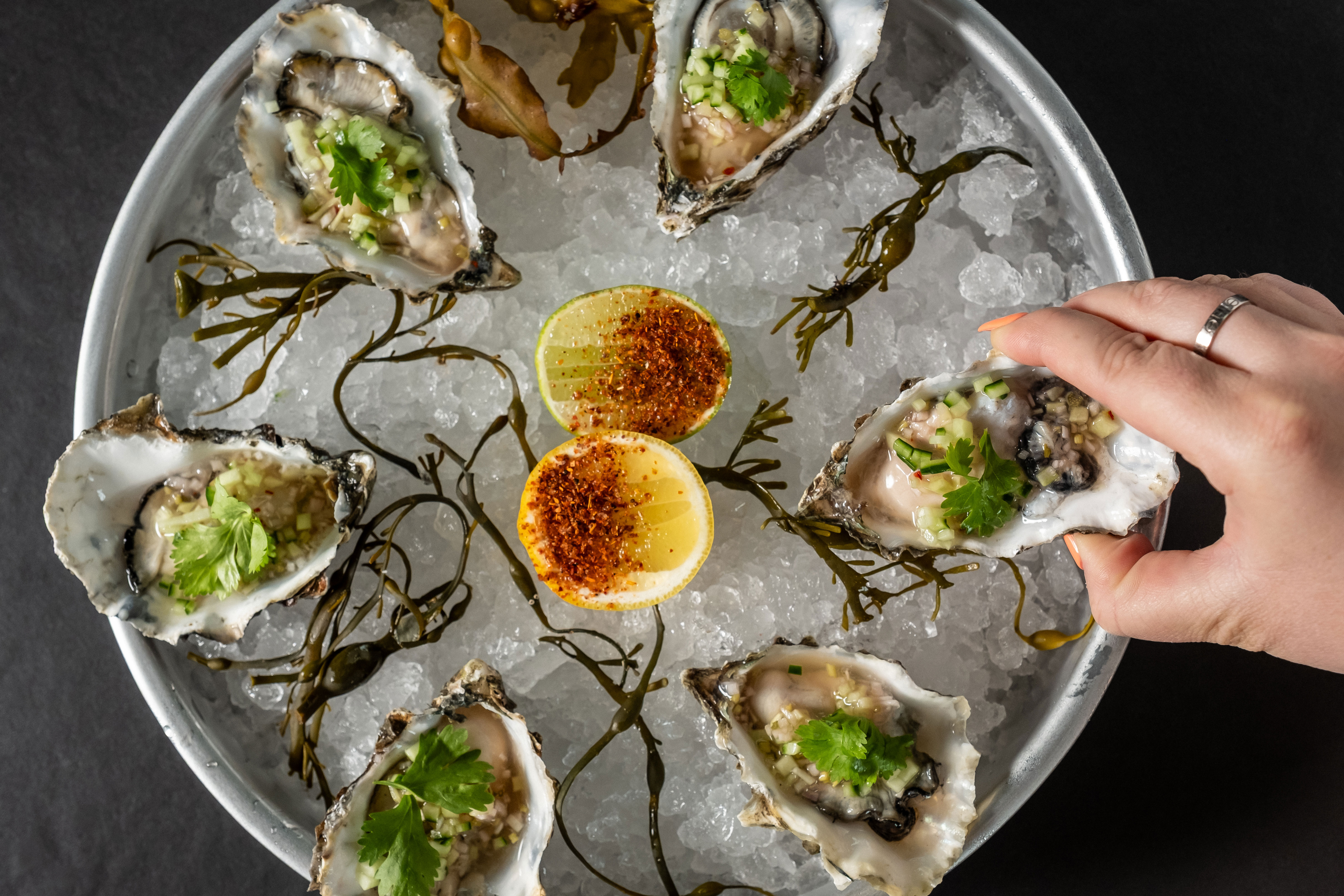 Half dozen freshly shucked seasonal oysters, topped with cucumber lime mezcal mignonette 