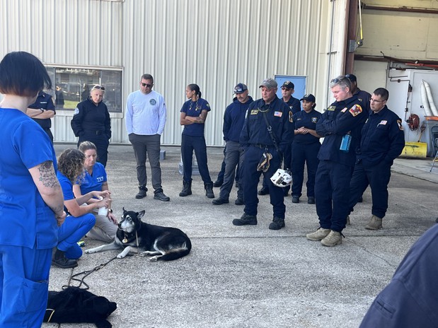 Images VCA SouthPaws Veterinary Specialists & Emergency Center