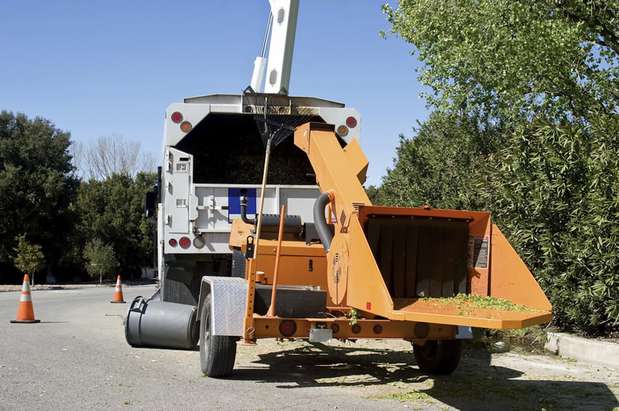 Images Green America Tree & Landscaping LLC
