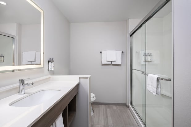 Images Holiday Inn Express & Suites Buford - Mall of Georgia by IHG