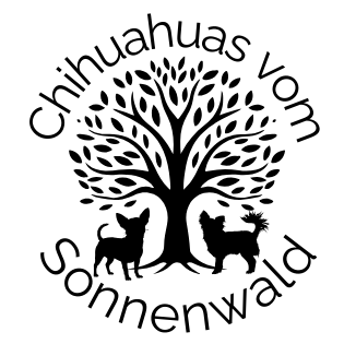 Chihuahuas vom Sonnenwald in Grattersdorf