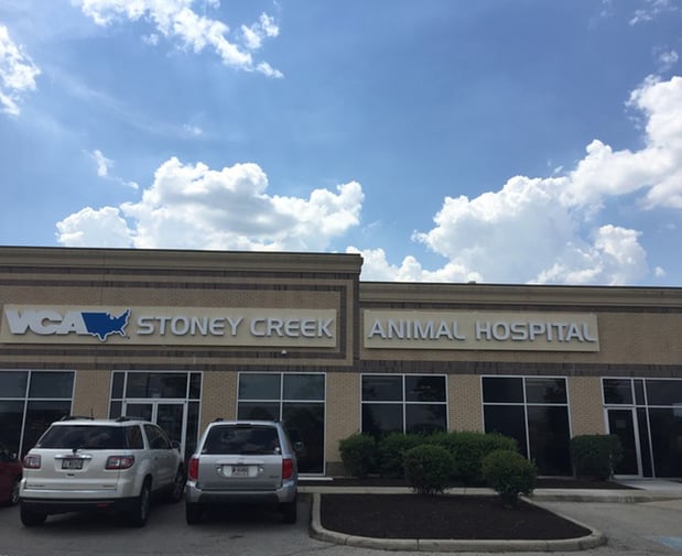 Images VCA Stoney Creek Animal Hospital