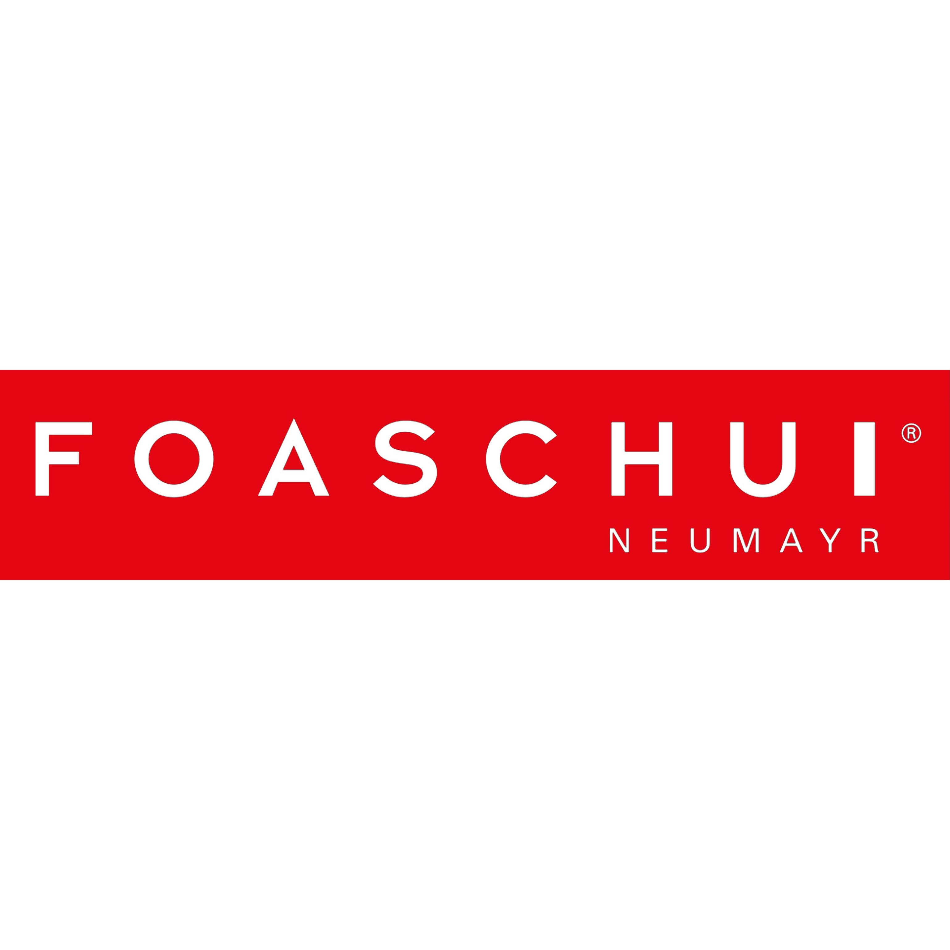 Fahrschule Neumayr - FOASCHUI Logo