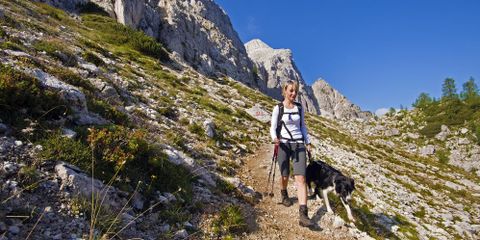 Want to Take Your Pup for a Hike? Veterinarian Shares 7 Tips