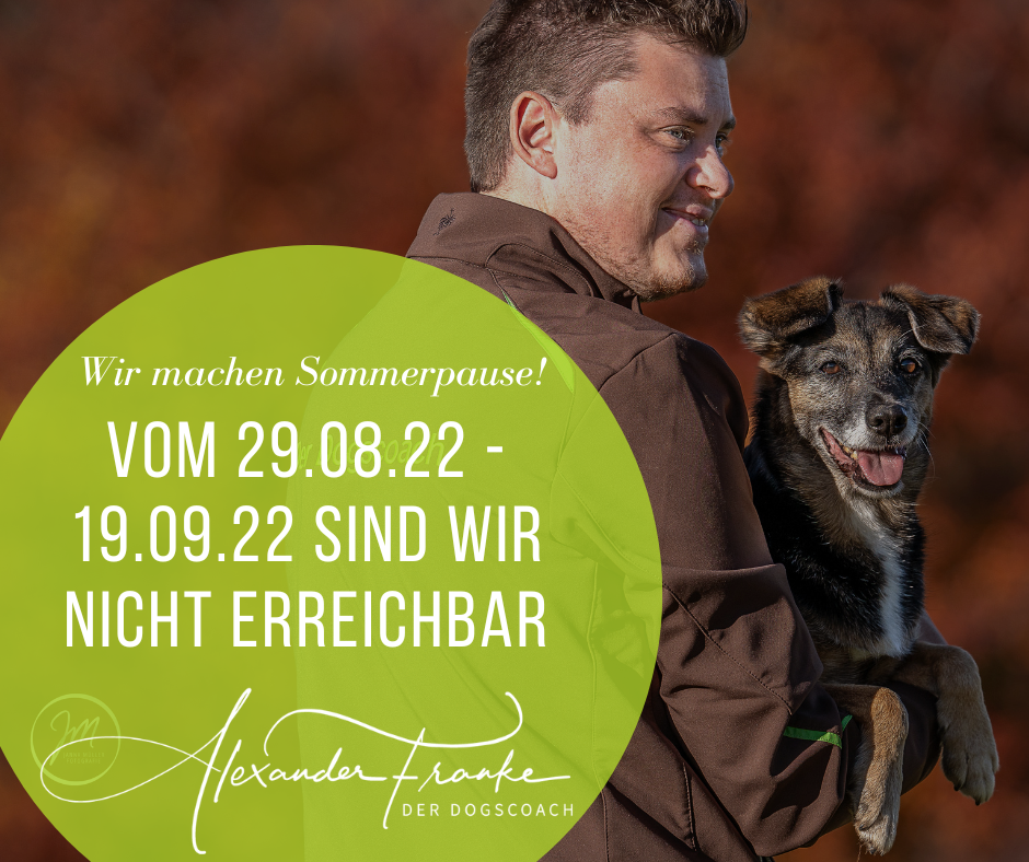 Der Dogscoach - mobile Hundeschule & Verhaltenstraining, Gammertinger Straße 30 in Hechingen