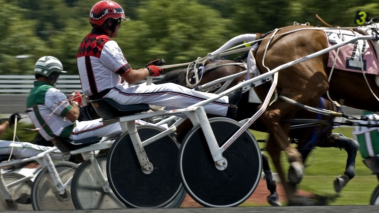 Images Bornholms Heste- & Kreaturforsikring G/S