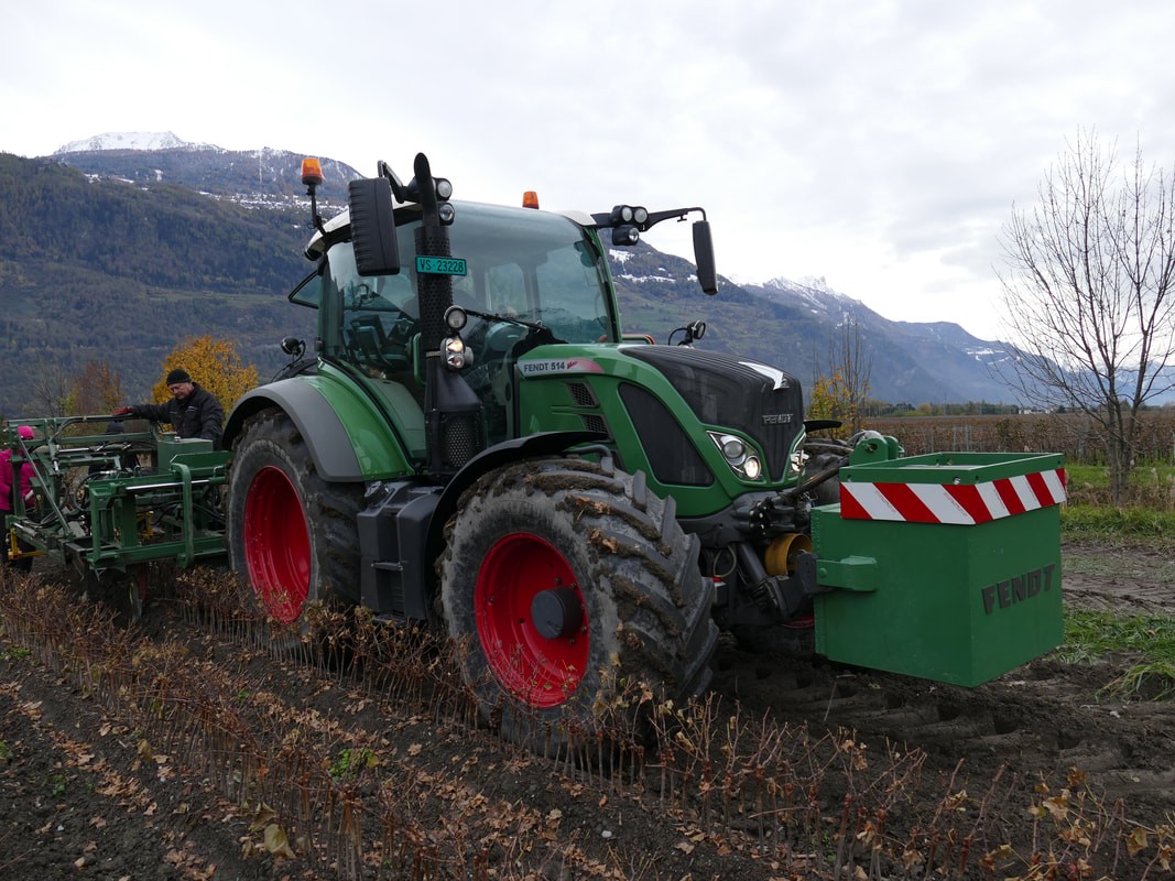 Multiplants Sàrl, Route des Charmilles 42 in Vétroz