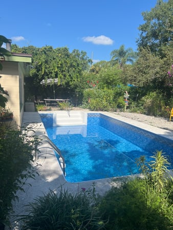 Images Paradise Palm Pools Inc