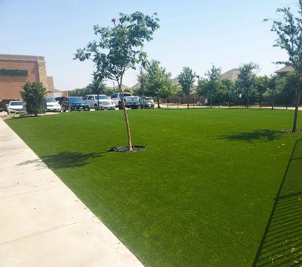 Images Purchase Green Artificial Grass
