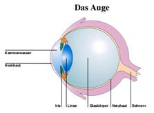 Augenlasern | Augenarzt Dr. med. Stephan Maschauer | München, Tegernseer Landstr. 154 in Munich