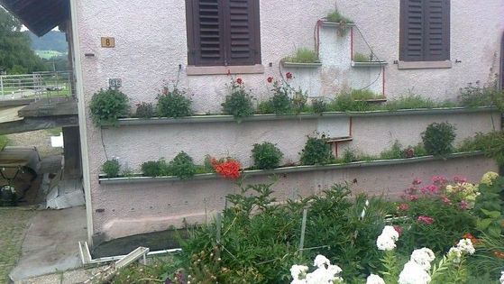 HB Gartenschutzanlagen, Oberhofstrasse 8 in Hinwil