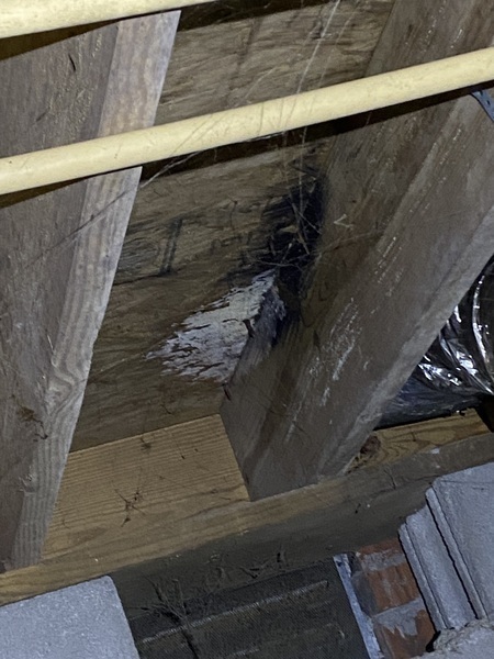 Images Ox Foundation Solutions