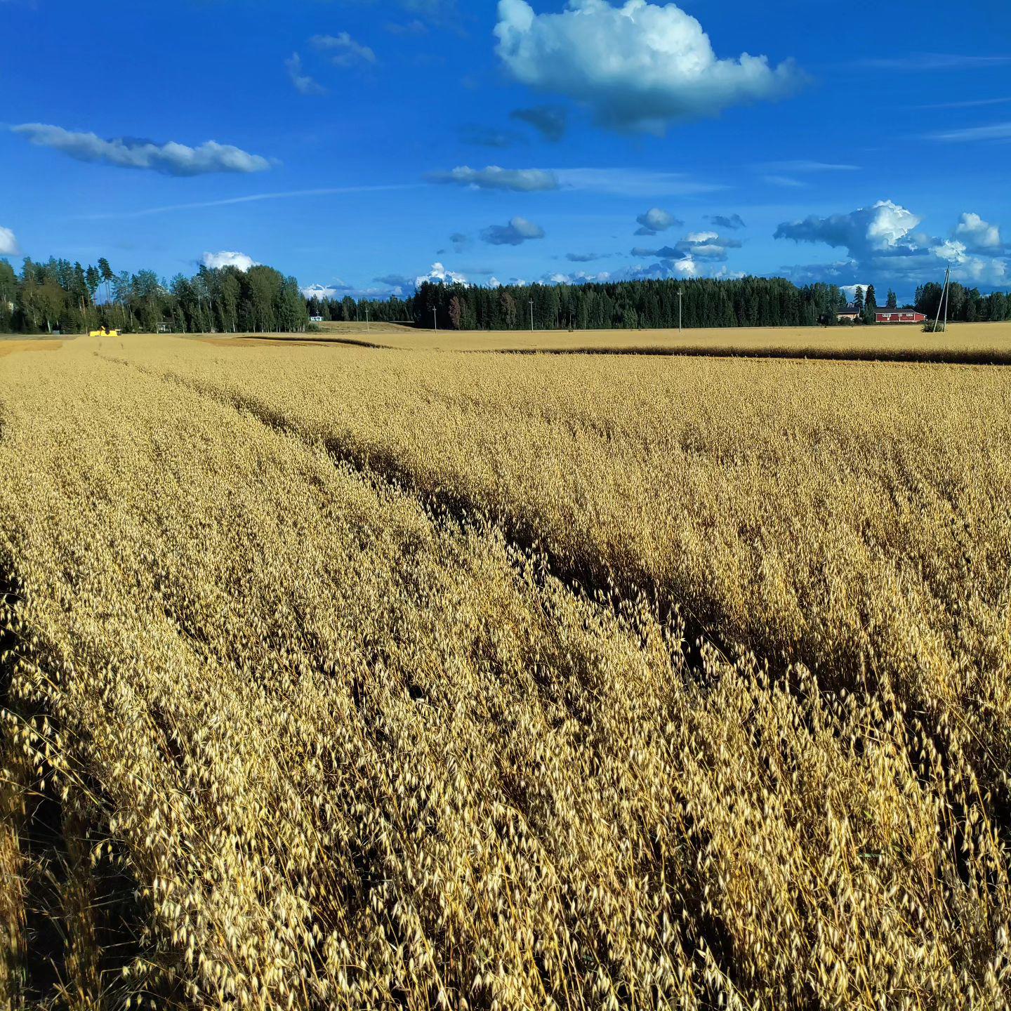 Images Tilasiemen, Kivistön Pakkaamo