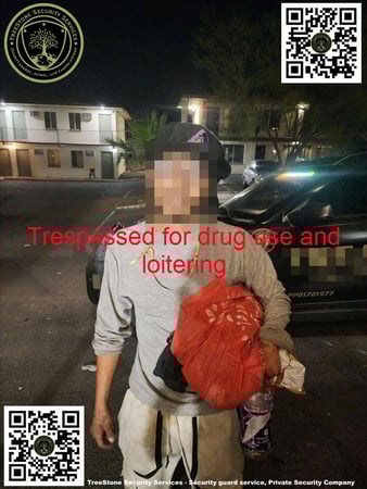Images TreeStone Security Services