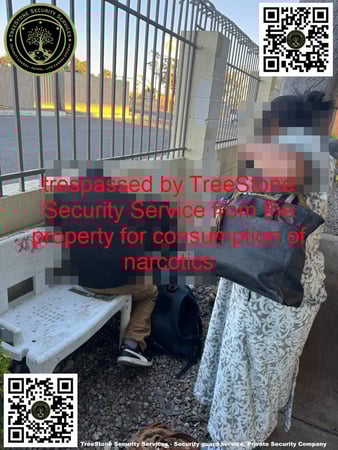 Images TreeStone Security Services
