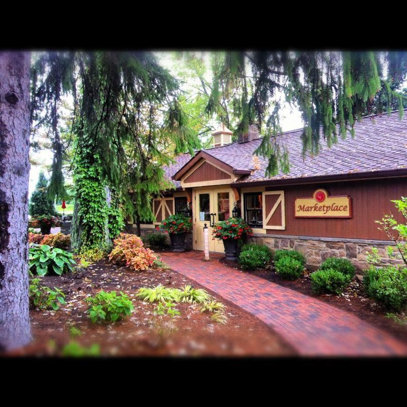 Images Gervasi Vineyard Resort & Spa